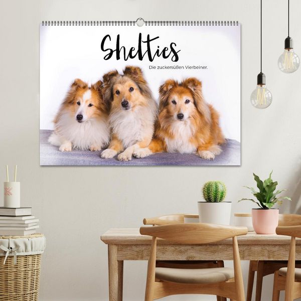 Produktbild: Shelties - Die zuckers&uuml;&szlig;en Vierbeiner. (Wandkalender 2026 DIN A2 quer), CALVENDO Monatskalender