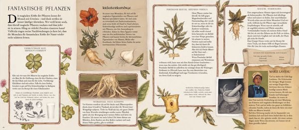 Produktbild: Das gro&szlig;e Handbuch der magischen K&uuml;nste