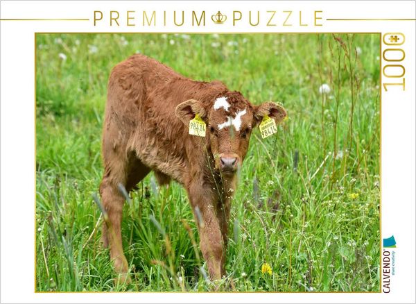 Produktbild: CALVENDO Puzzle Der Ohrschmuck des zierlichen K&auml;lbchens ist etwas "pomp&ouml;s" | 1000 Teile Lege-Gr&ouml;&szlig;e 64x48cm Foto-Puzzle f&uuml;r gl&uuml;ckliche Stunden