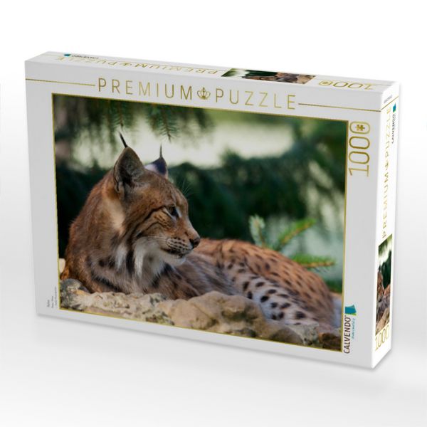 Produktbild: CALVENDO Puzzle Relax | 1000 Teile Lege-Gr&ouml;&szlig;e 64x48cm Foto-Puzzle f&uuml;r gl&uuml;ckliche Stunden