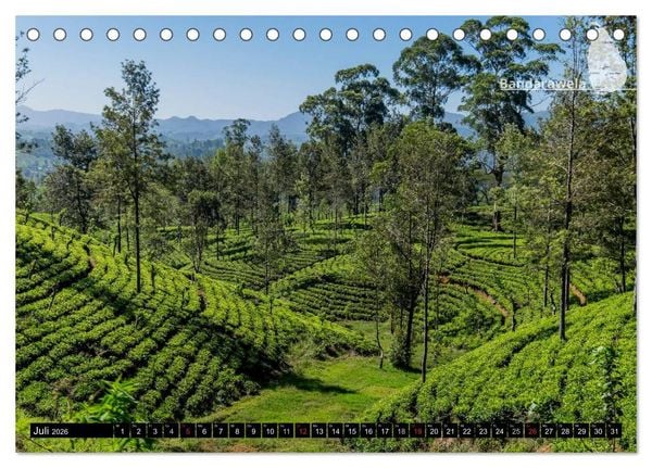 Produktbild: Sri Lanka, eine Reise &uuml;ber die Insel der King Coconut (Tischkalender 2026 DIN A5 quer), CALVENDO Monatskalender
