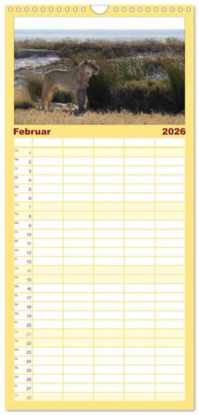 Produktbild: Familienplaner 2026 - Wildes Namibia mit 5 Spalten (Wandkalender, 21 x 45 cm) CALVENDO