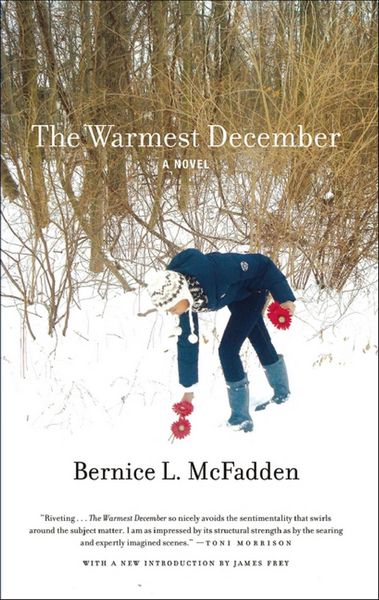 Produktbild: The Warmest December