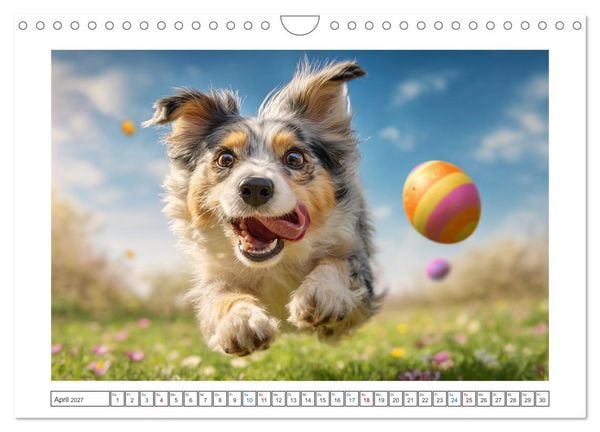 Produktbild: WUFF und WOW (Wandkalender 2027 DIN A4 quer), CALVENDO Monatskalender