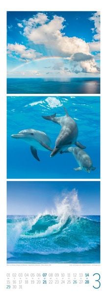Produktbild: BeachTime Triplet-Kalender 2027 | Sonne, Sand & Meer