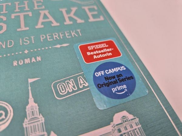 Produktbild: The Mistake &ndash; Niemand ist perfekt