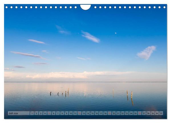 Produktbild: Camargue - Der wilde S&uuml;den Frankreichs (Wandkalender 2026 DIN A4 quer), CALVENDO Monatskalender