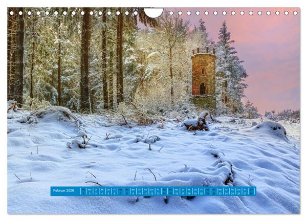 Produktbild: Magischer Pf&auml;lzer Wald (Wandkalender 2026 DIN A4 quer), CALVENDO Monatskalender