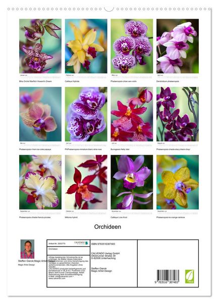 Produktbild: Orchideen (hochwertiger Premium Wandkalender 2026 DIN A2 hoch), Kunstdruck in Hochglanz
