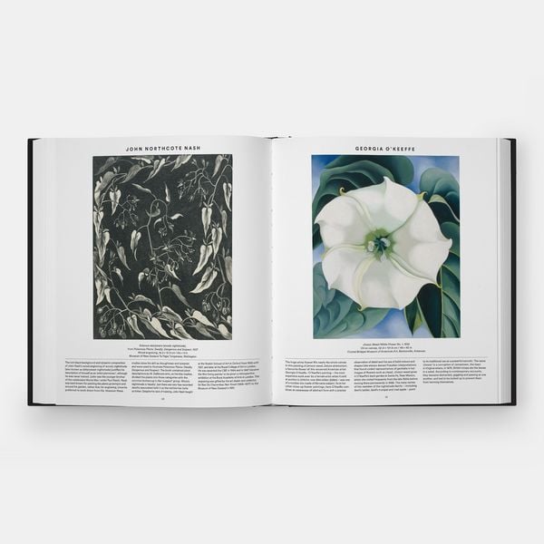 Produktbild: Plant