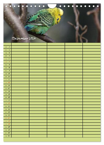 Produktbild: Der Wellensittich-Familienplaner (Wandkalender 2026 DIN A4 hoch), CALVENDO Monatskalender