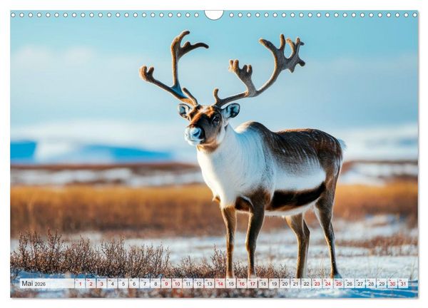 Produktbild: ARKTISCHE TIERE Im Reich der K&auml;lte (Wandkalender 2026 DIN A3 quer), CALVENDO Monatskalender