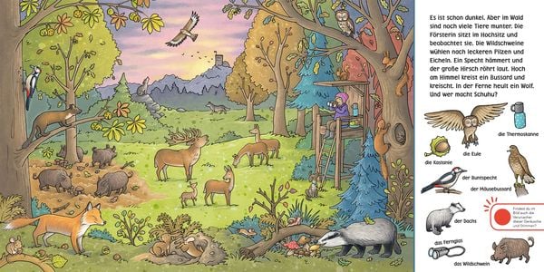Produktbild: Hör mal (Soundbuch): Wimmelbuch: Wald und Wiese