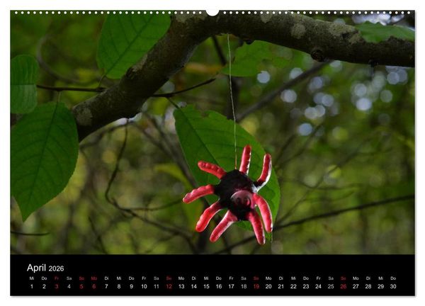 Produktbild: Die Welt der Fruchtgummis (hochwertiger Premium Wandkalender 2026 DIN A2 quer), Kunstdruck in Hochglanz