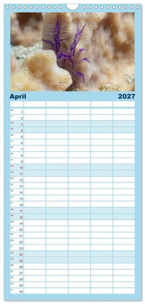 Produktbild: Familienplaner 2027 - Faszination blaue Unterwasserwelt mit 5 Spalten (Wandkalender, 21 x 45 cm) CALVENDO