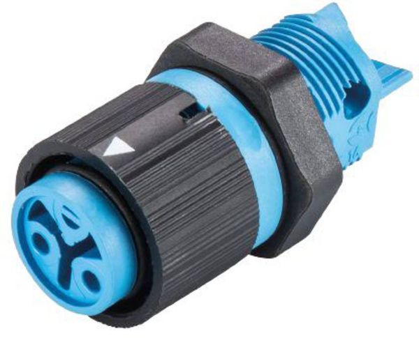 Wieland Electric 46.031.5054.9 Rundstecker Buchse, Einbau Gesamtpolzahl: 2 Serie (Rundsteckverbinder): RST MINI 1 St.