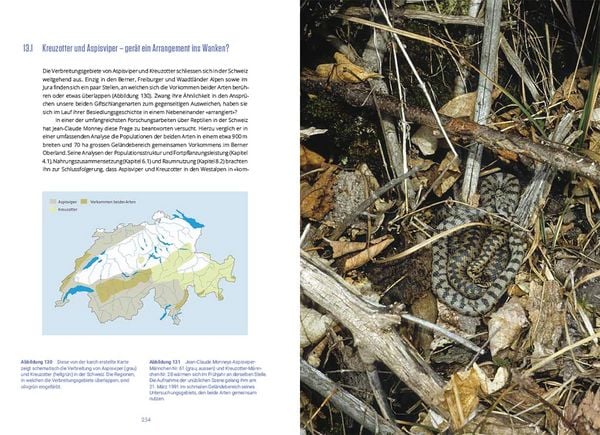 Produktbild: Reptilien in der Schweiz