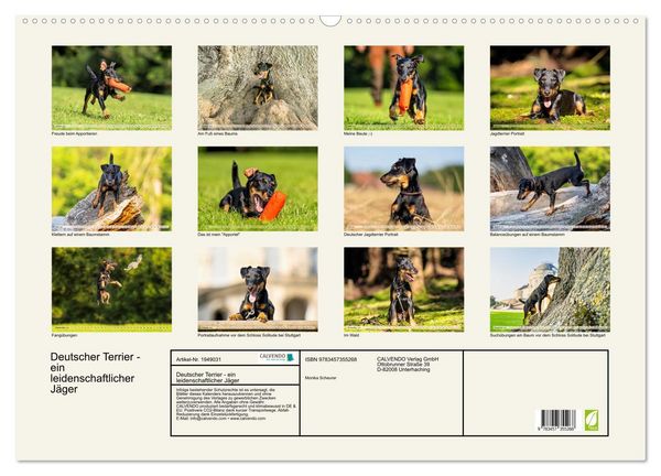 Produktbild: Deutscher Terrier - ein leidenschaftlicher J&auml;ger (Wandkalender 2026 DIN A2 quer), CALVENDO Monatskalender