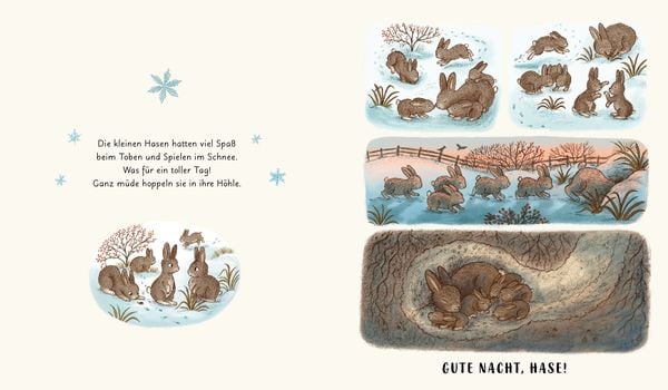Produktbild: Wunder der Natur. Das Gute-Nacht-Buch