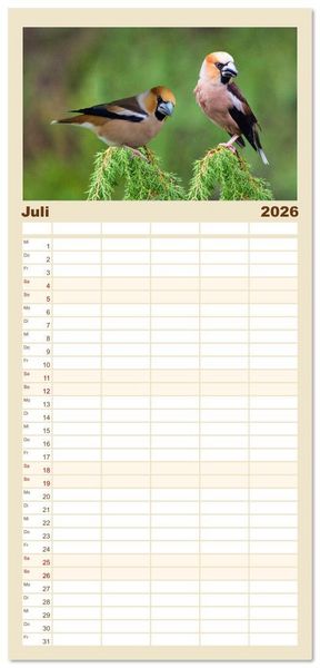 Produktbild: Familienplaner 2026 - Deutschlands Finken mit 5 Spalten (Wandkalender, 21 x 45 cm) CALVENDO