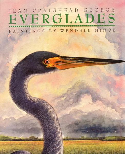 Produktbild: Everglades