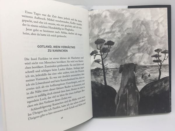 Produktbild: Nortons philosophische Memoiren