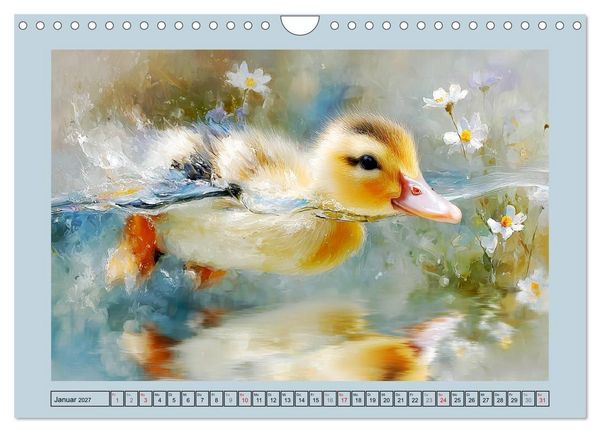 Produktbild: Zwergenten. Bezaubernde Schreih&auml;lse in der Natur (Wandkalender 2027 DIN A4 quer), CALVENDO Monatskalender