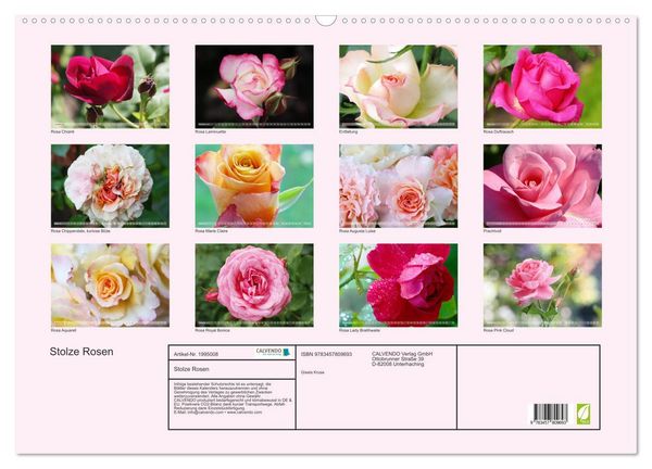 Produktbild: Stolze Rosen (Wandkalender 2026 DIN A2 quer), CALVENDO Monatskalender
