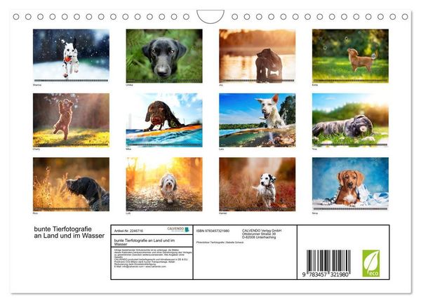 Produktbild: bunte Tierfotografie an Land und im Wasser (Wandkalender 2026 DIN A4 quer), CALVENDO Monatskalender