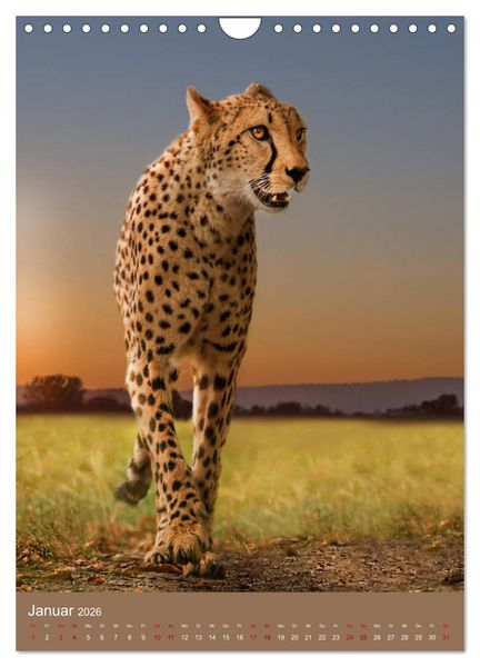 Produktbild: Portraits of Animals (Wandkalender 2026 DIN A4 hoch), CALVENDO Monatskalender