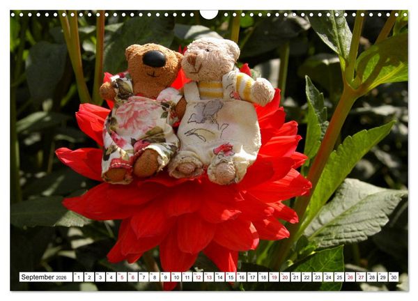 Produktbild: Die kleine Welt der Teddyb&auml;rchen (Wandkalender 2026 DIN A3 quer), CALVENDO Monatskalender