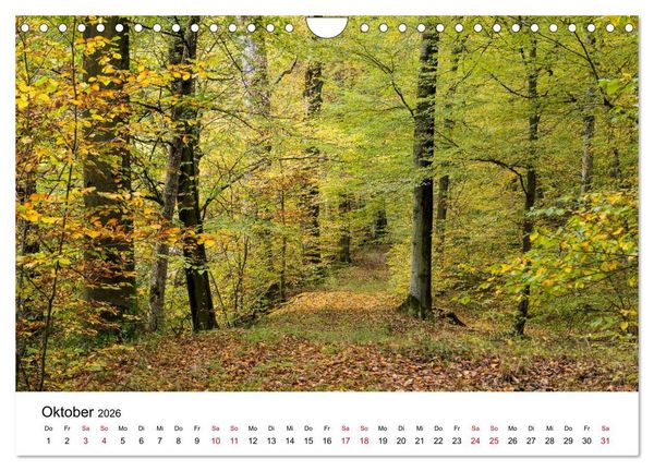 Produktbild: Wege in der Natur - Kraichgau und Enzkreis (Wandkalender 2026 DIN A4 quer), CALVENDO Monatskalender