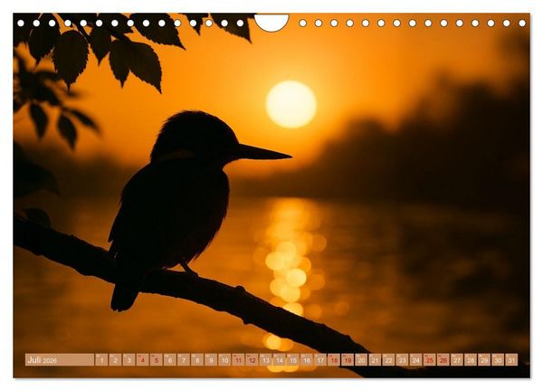 Produktbild: Eisvogeltr&auml;ume am Wasser (Wandkalender 2026 DIN A4 quer), CALVENDO Monatskalender