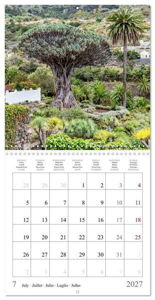 Produktbild: Canary Islands - Volcanic Beauties (Wall Calendar 2027 12 &times; 12 Inch) CALVENDO 12 Month Wall Calendar