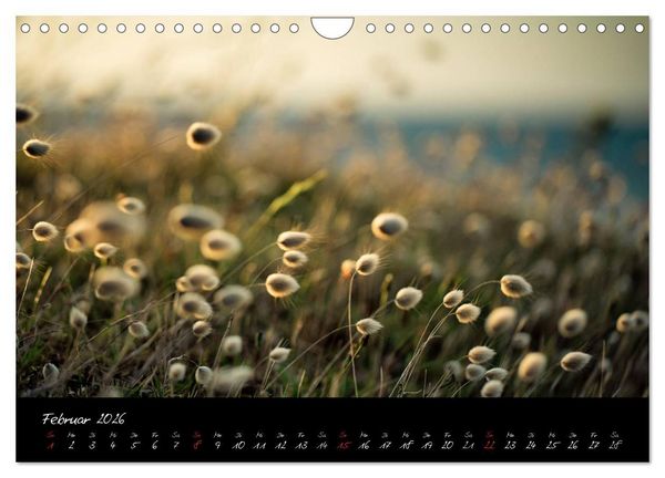 Produktbild: Frankreich Bretagne (Wandkalender 2026 DIN A4 quer), CALVENDO Monatskalender