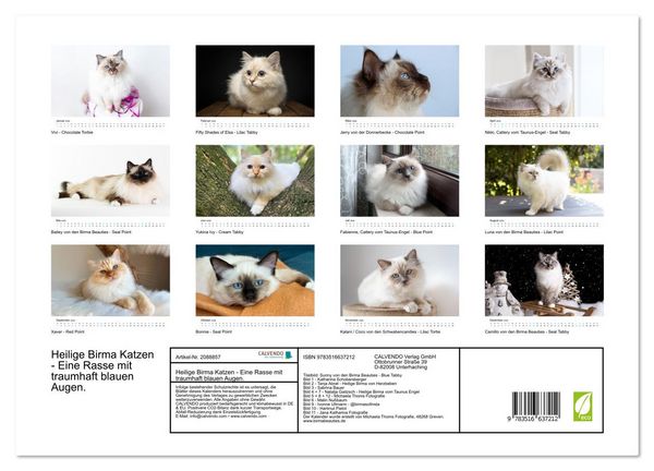 Produktbild: Heilige Birma Katzen - Eine Rasse mit traumhaft blauen Augen. (Wandkalender 2026 DIN A3 quer), CALVENDO Monatskalender