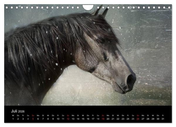 Produktbild: Pferde zum Tr&auml;umen (Wandkalender 2026 DIN A4 quer), CALVENDO Monatskalender