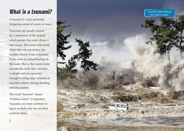 Produktbild: Tsunamis