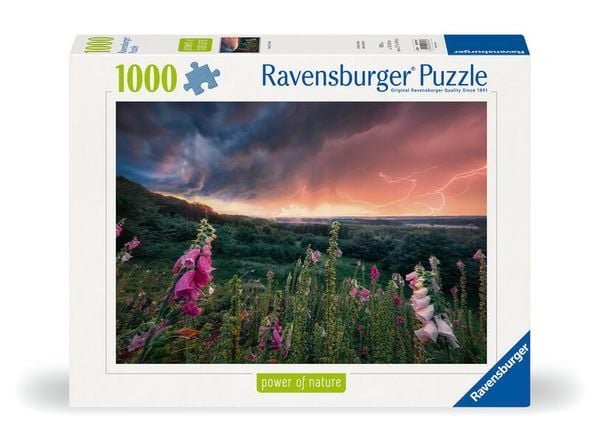 Produktbild: Erwachsenenpuzzle 1000 Teile - Ein Sturm zieht auf
