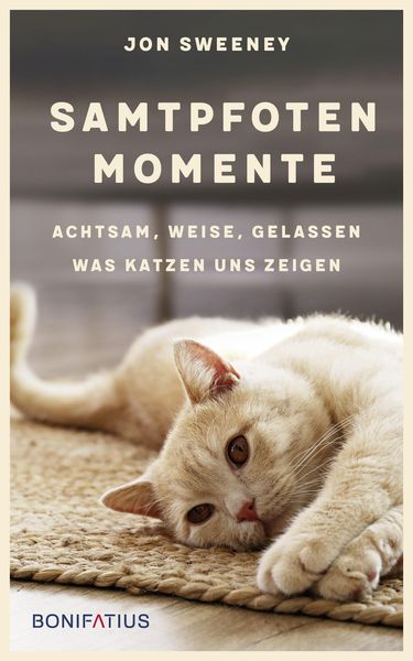 Produktbild: Samtpfotenmomente