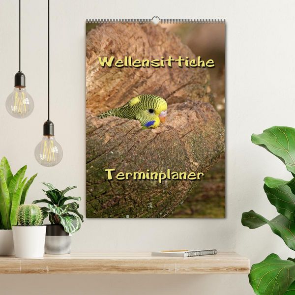 Produktbild: Wellensittiche Terminplaner (Wandkalender 2026 DIN A2 hoch), CALVENDO Monatskalender