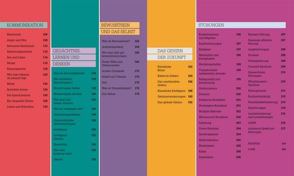 Produktbild: #dkinfografik. Das menschliche Gehirn und wie es funktioniert