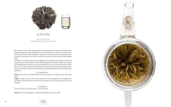 Produktbild: Tee-Sommelier