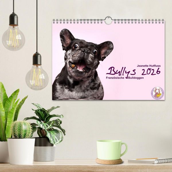 Produktbild: Bullys - Franz&ouml;sische Bulldoggen 2026 (Wandkalender 2026 DIN A4 quer), CALVENDO Monatskalender