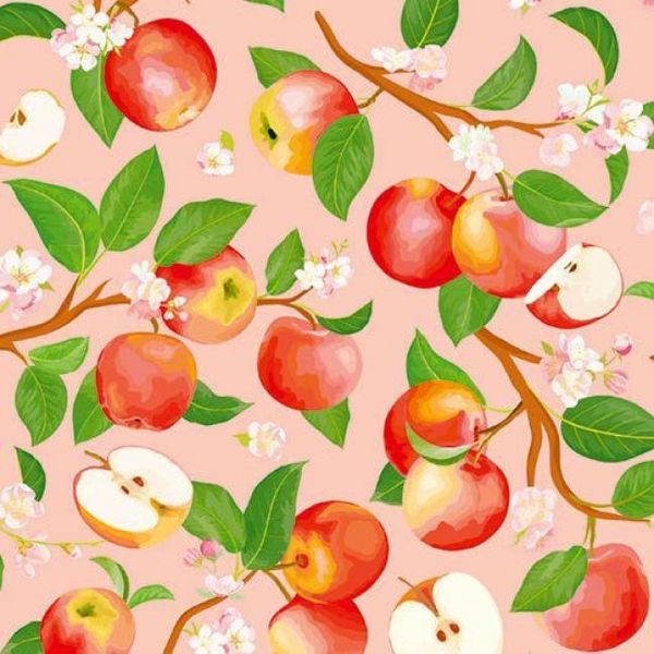Produktbild: 333 Origami Minis &ndash; Mein Obstgarten