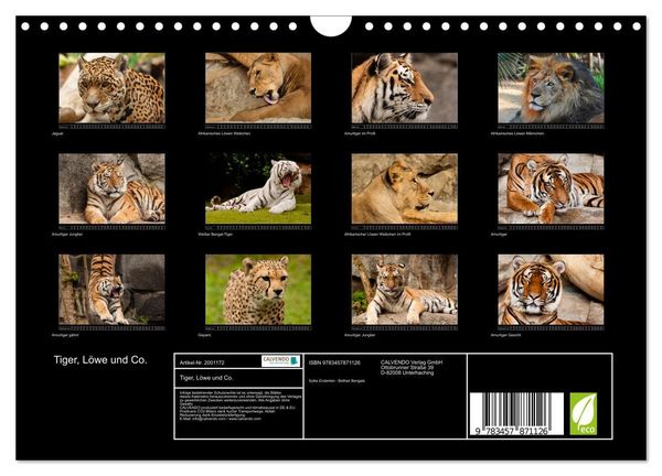 Produktbild: Tiger, L&ouml;we und Co. (Wandkalender 2026 DIN A4 quer), CALVENDO Monatskalender