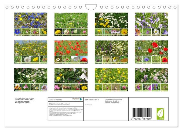Produktbild: Bl&uuml;tenmeer am Wegesrand (Wandkalender 2026 DIN A4 quer), CALVENDO Monatskalender