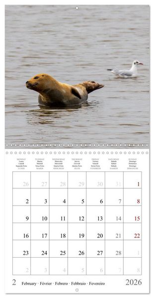 Produktbild: A Journey Through Germany (Wall Calendar 2026 12 &times; 12 Inch) CALVENDO 12 Month Wall Calendar