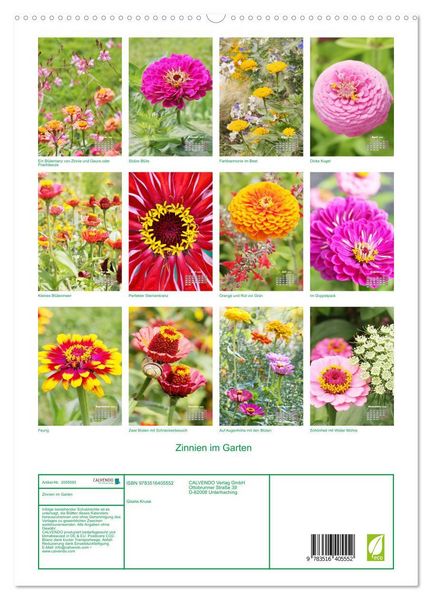 Produktbild: Zinnien im Garten (hochwertiger Premium Wandkalender 2026 DIN A2 hoch), Kunstdruck in Hochglanz