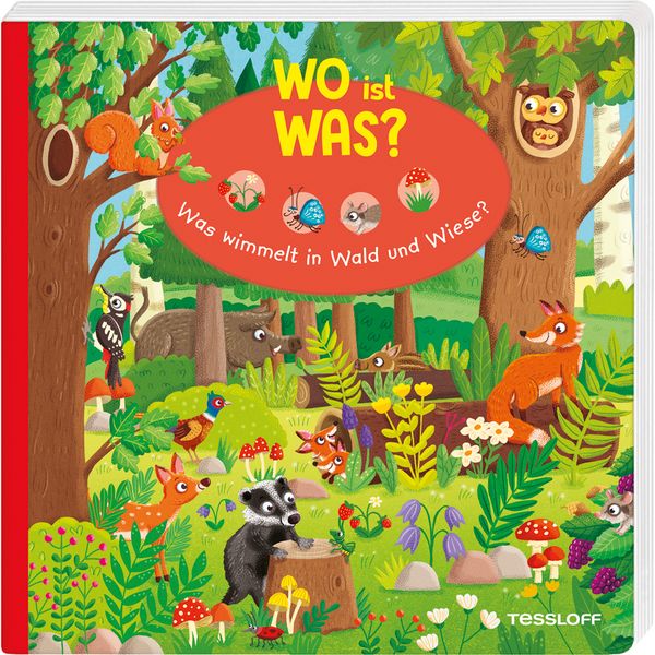 WO ist WAS? Was wimmelt in Wald und Wiese?, Gebundene Ausgabe von Julia Reindl, Tessloff Verlag Ragnar Tessloff GmbH & Co. KG, 978-3-7886-4452-9